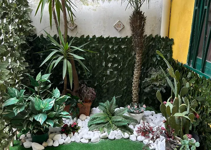 Amuri Di Casa Scogliera